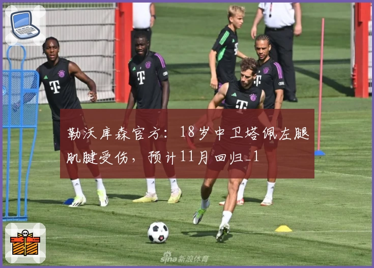 勒沃库森官方：18岁中卫塔佩左腿肌腱受伤，预计11月回归_1