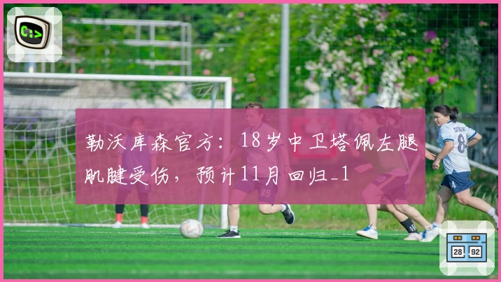 勒沃库森官方：18岁中卫塔佩左腿肌腱受伤，预计11月回归_1