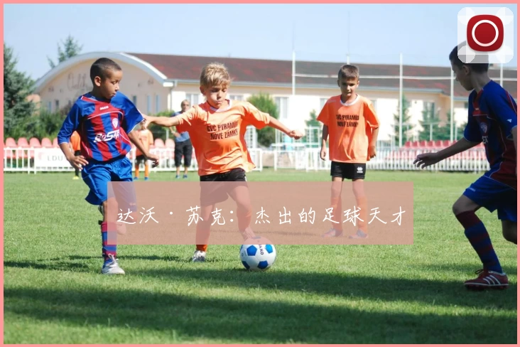 达沃·苏克：杰出的足球天才