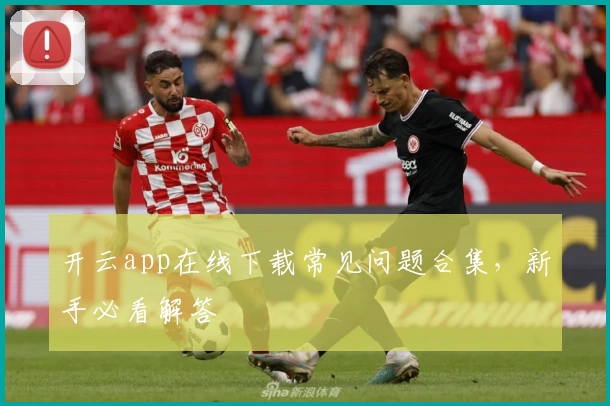 开云app在线下载常见问题合集，新手必看解答